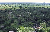 Cambodian Ricebowl - Battambong